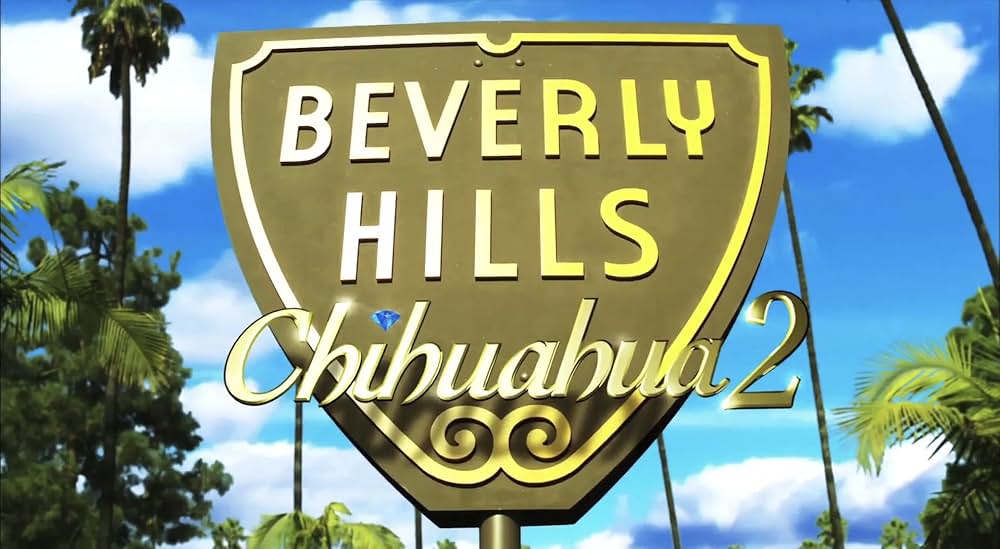 ビバリーヒルズ・チワワ2の画像
