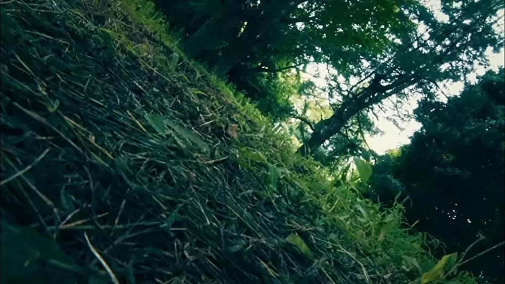 カメラを止めるな！の画像