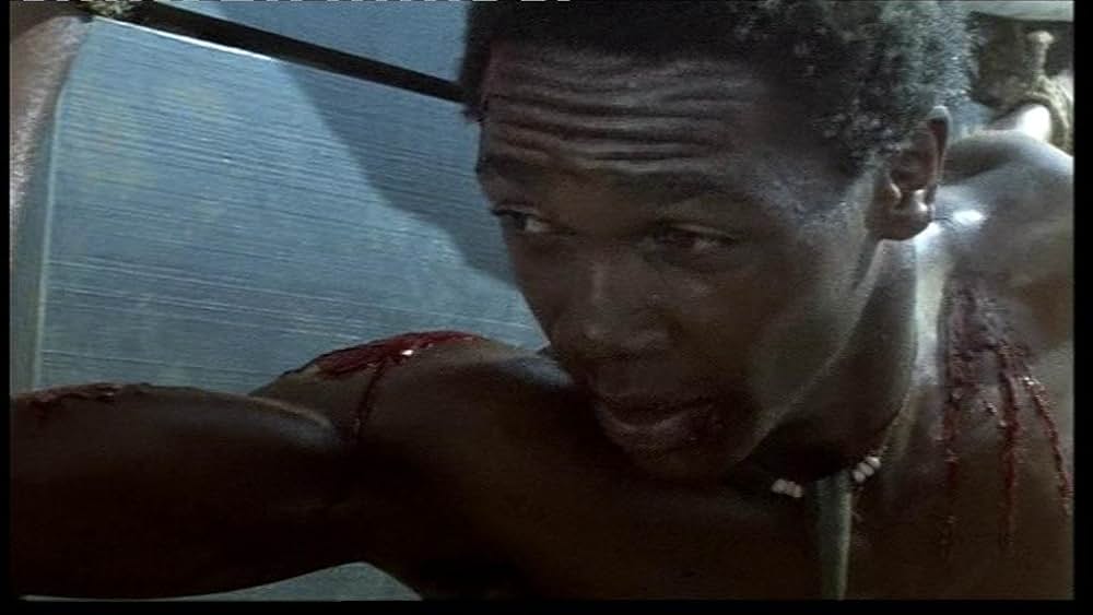 ズールー戦争／野望の大陸の画像