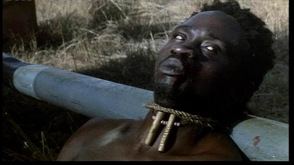 ズールー戦争／野望の大陸の画像