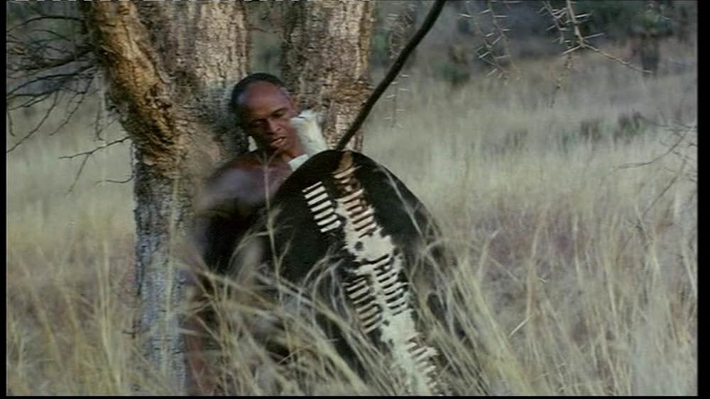 ズールー戦争／野望の大陸の画像