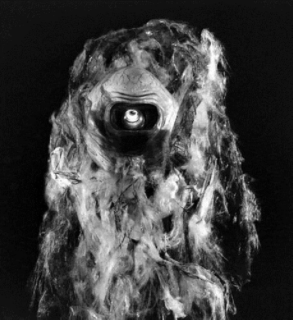 それは外宇宙からやってきたの画像