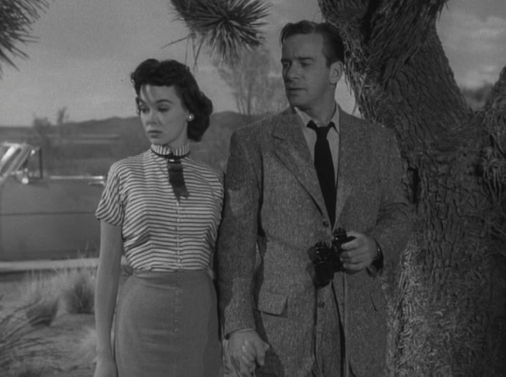 「それは外宇宙からやってきた」リチャード・カールソン & バーバラ・ラッシュの画像