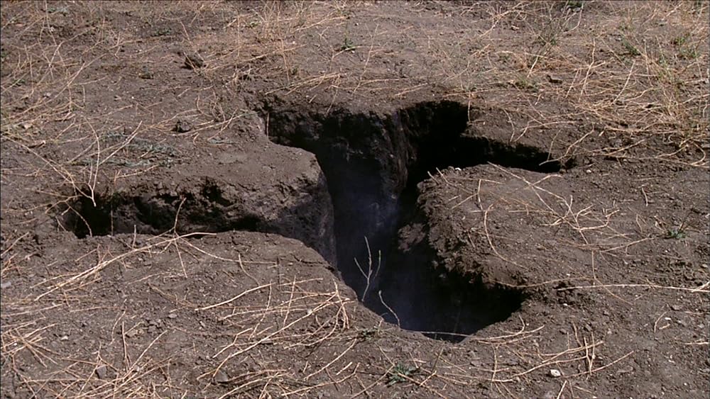 ハリウッド・ブルバードの画像