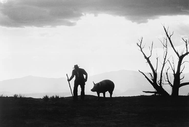 ミラグロ／奇跡の地の画像