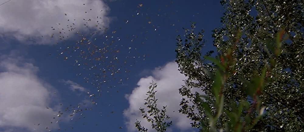 ミラグロ／奇跡の地の画像