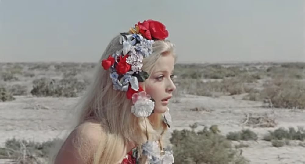 キャンディの画像