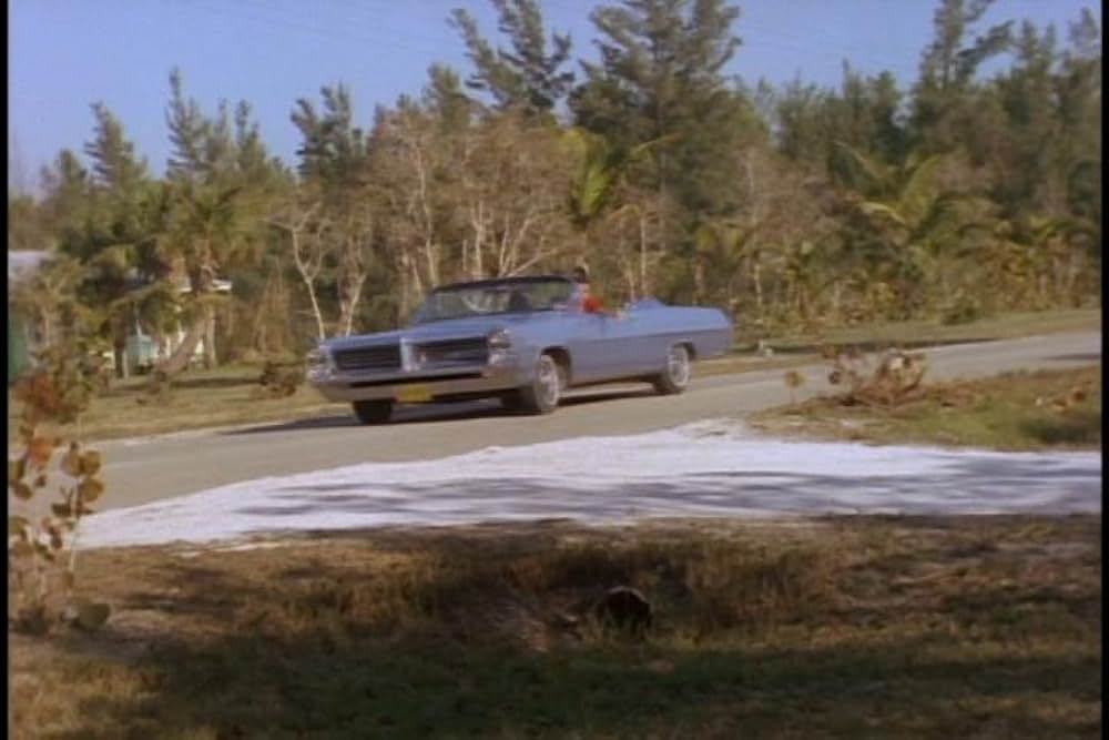 カラー・ミー・ブラッド・レッドの画像