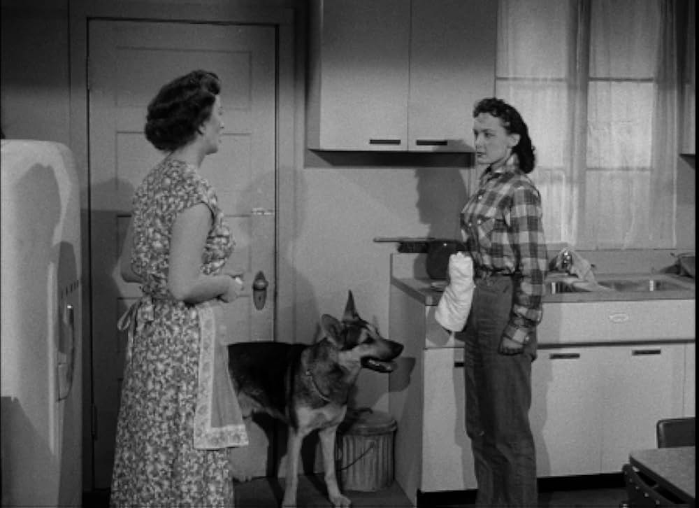 百万の眼を持つ刺客の画像