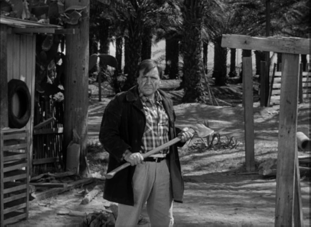 百万の眼を持つ刺客の画像