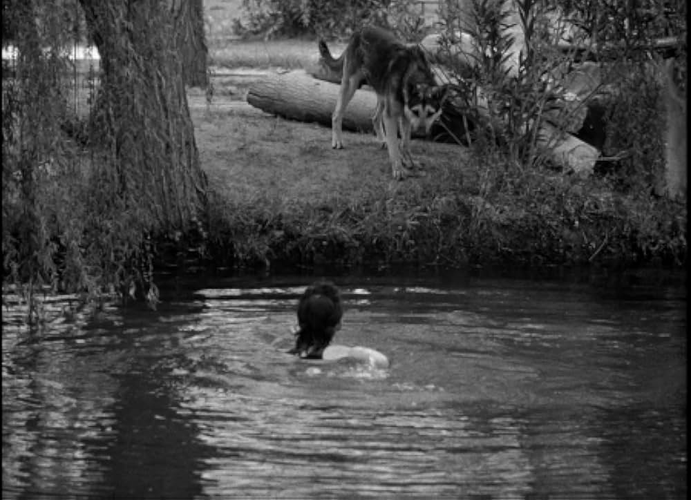 「百万の眼を持つ刺客」の画像