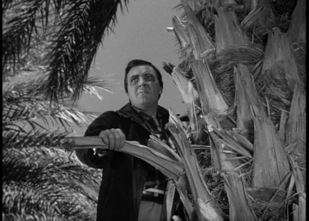 百万の眼を持つ刺客の画像