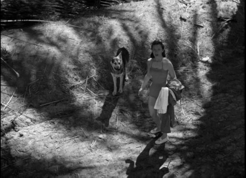 百万の眼を持つ刺客の画像