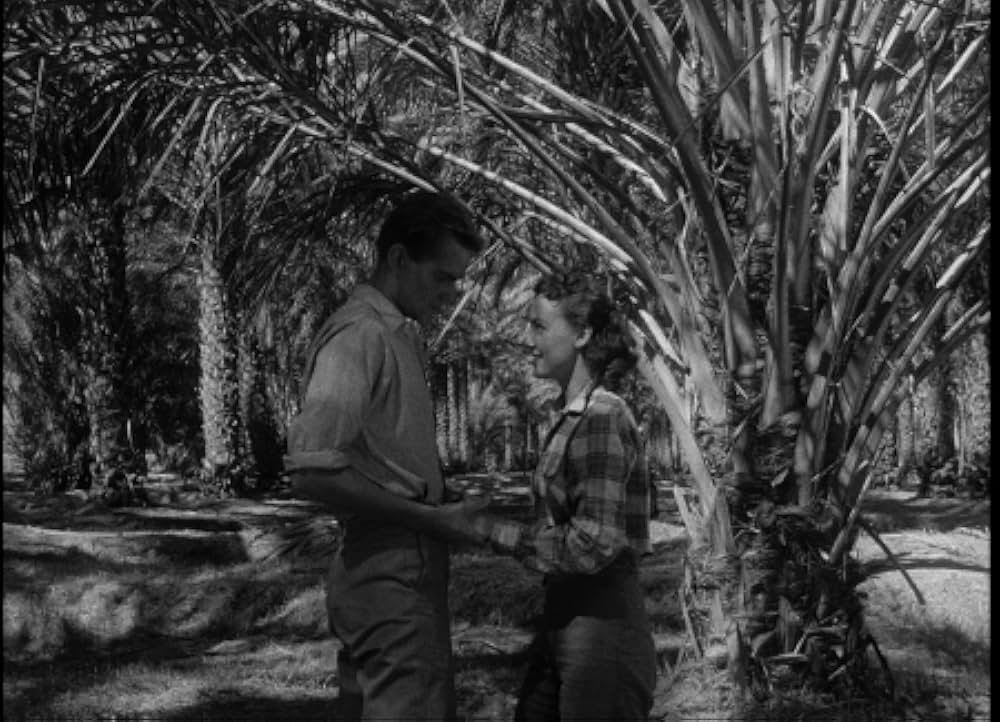 百万の眼を持つ刺客の画像