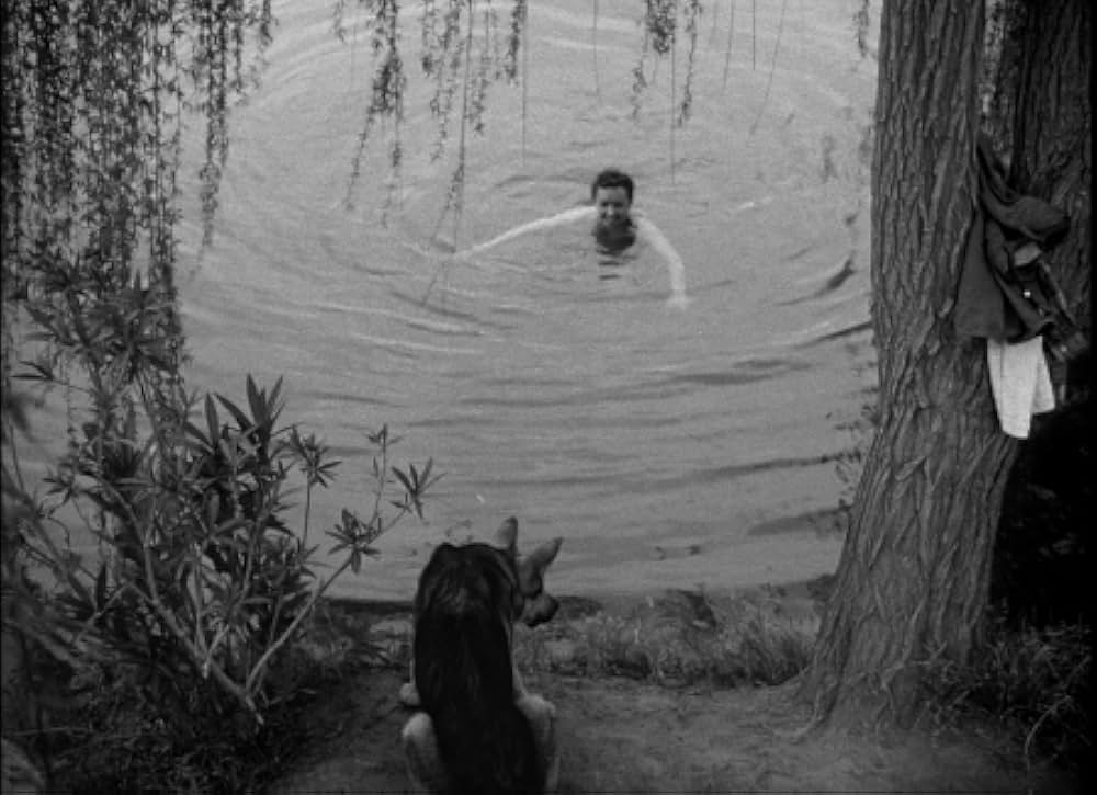 百万の眼を持つ刺客の画像