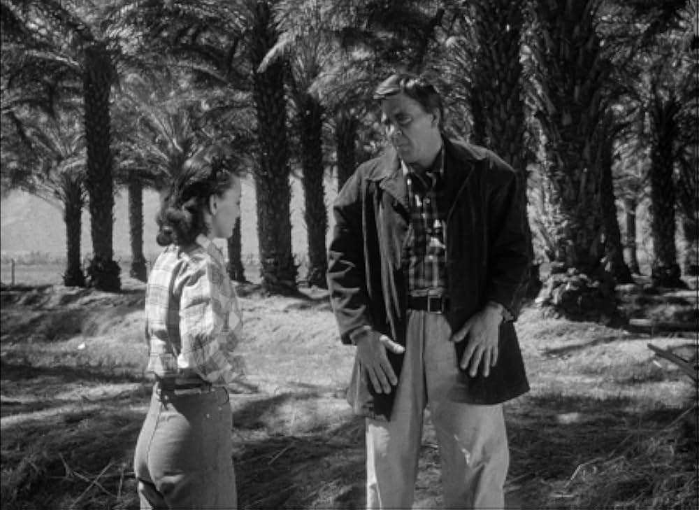 百万の眼を持つ刺客の画像