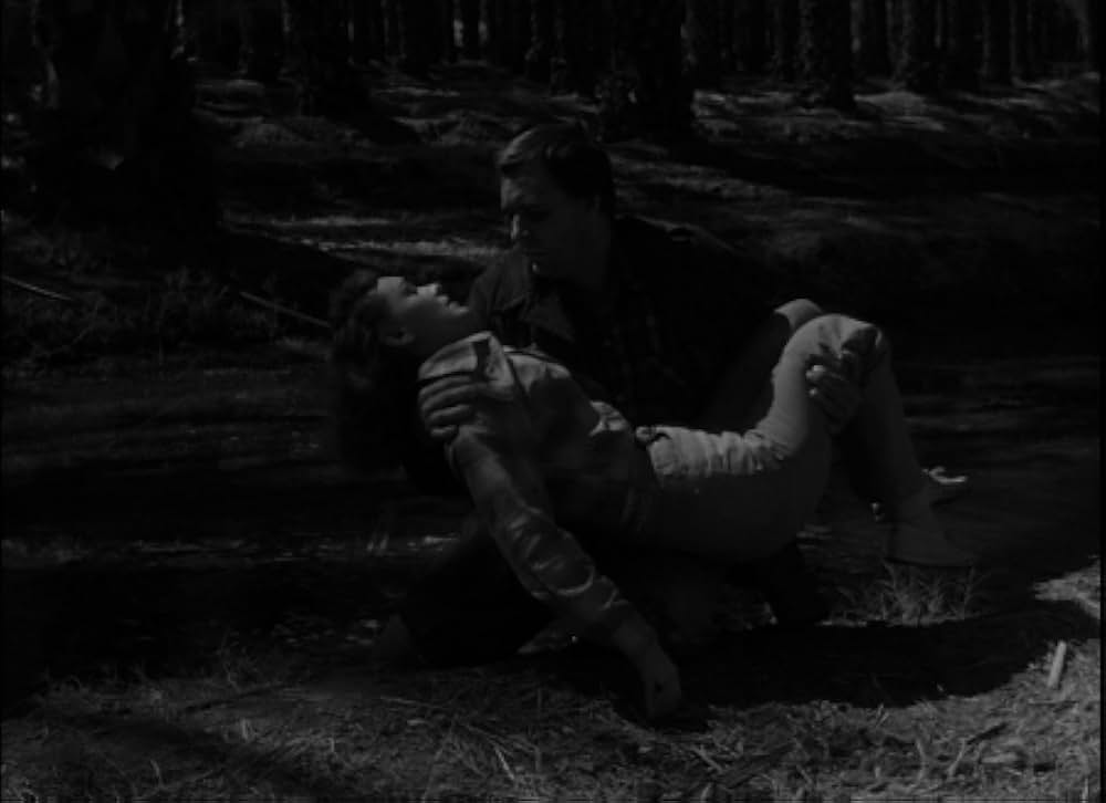 百万の眼を持つ刺客の画像