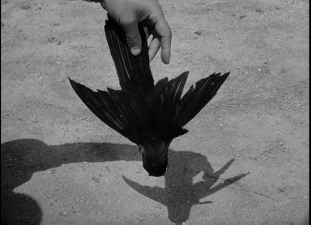 百万の眼を持つ刺客の画像