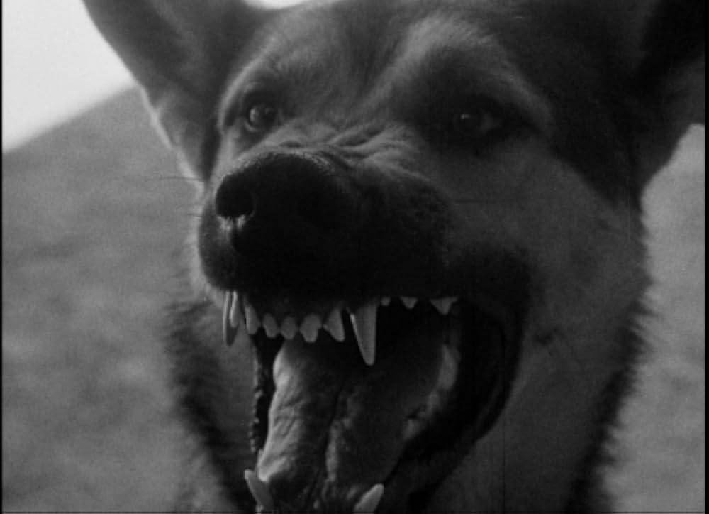 百万の眼を持つ刺客の画像