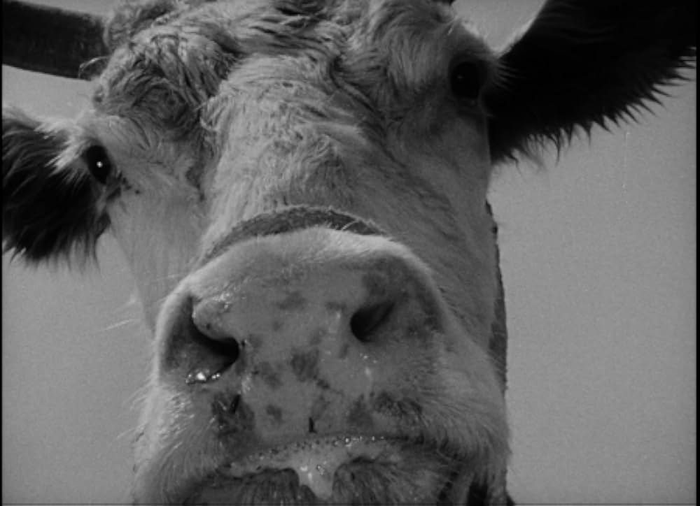 百万の眼を持つ刺客の画像