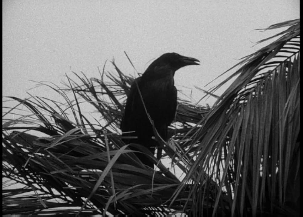 百万の眼を持つ刺客の画像