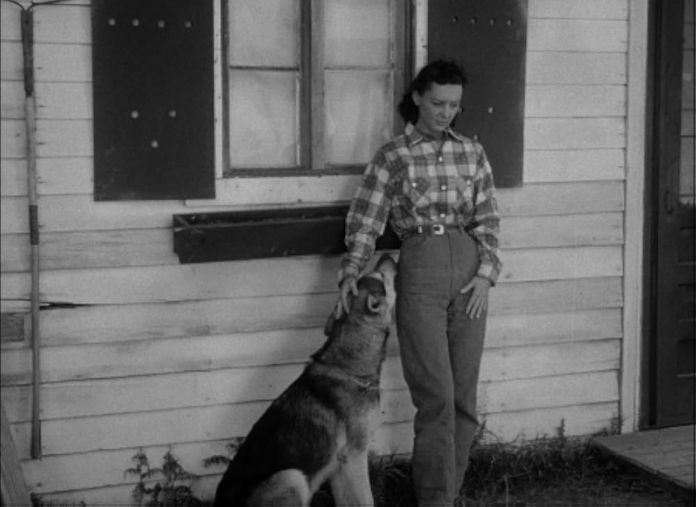 百万の眼を持つ刺客の画像