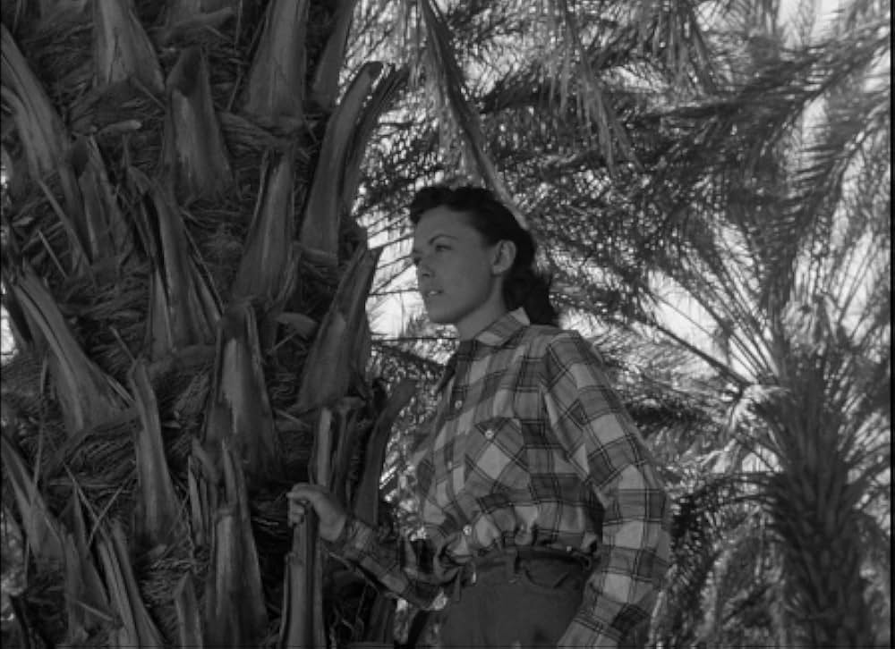 百万の眼を持つ刺客の画像