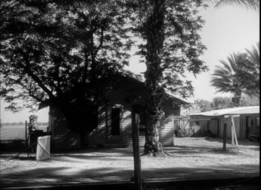 百万の眼を持つ刺客の画像