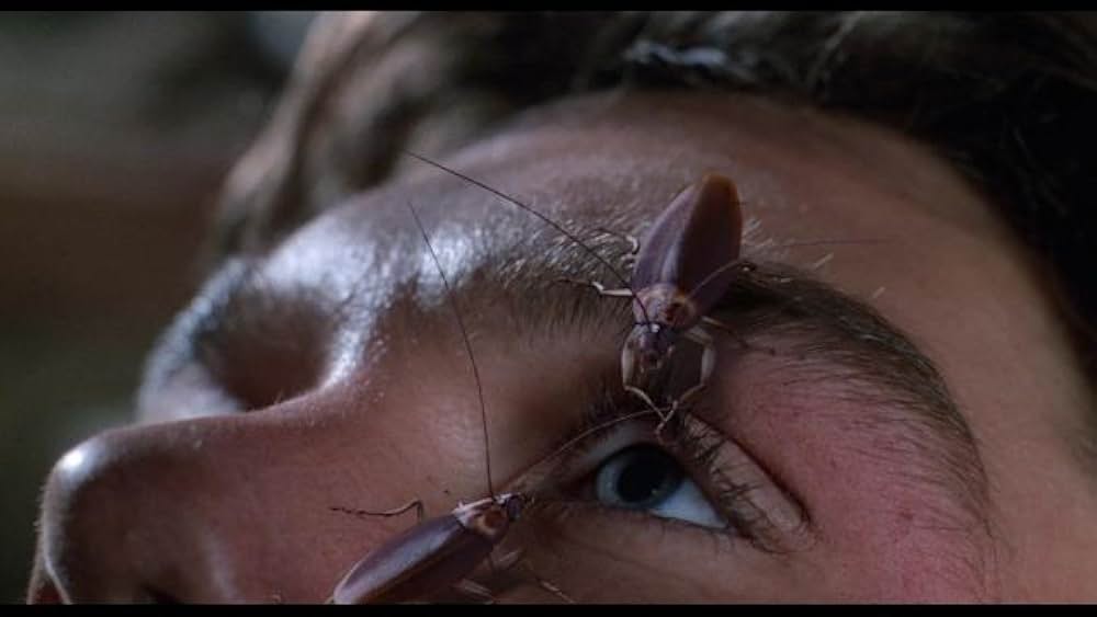 ジョーズ・アパートメントの画像