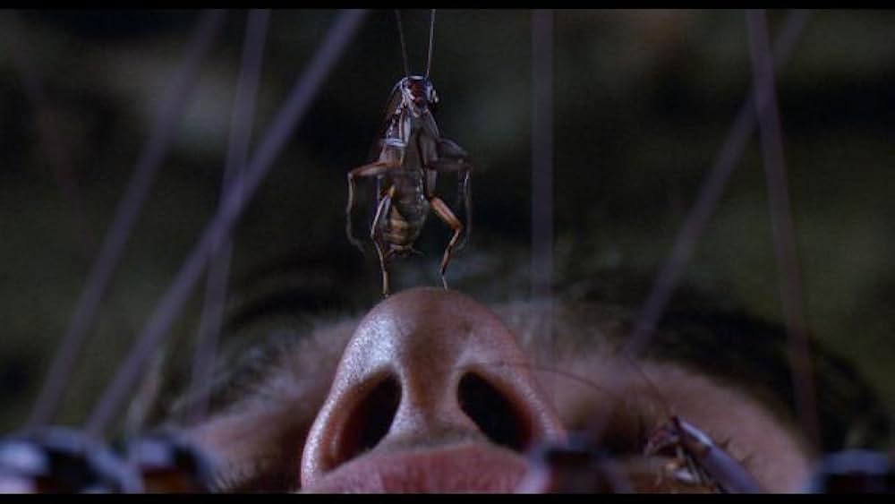 ジョーズ・アパートメントの画像