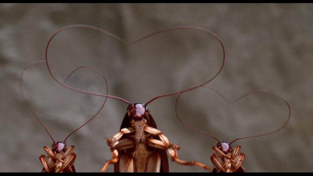 ジョーズ・アパートメントの画像