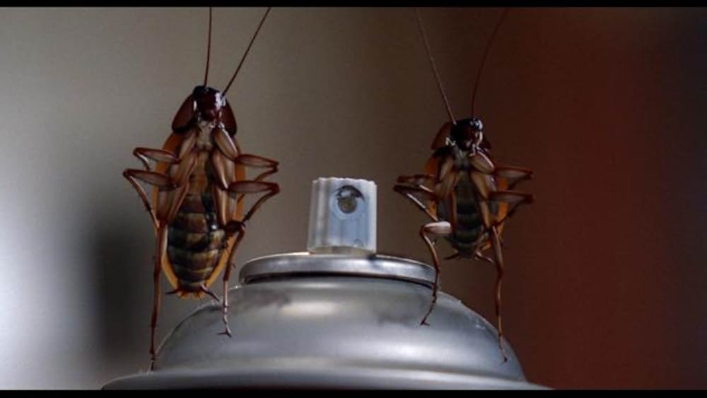 ジョーズ・アパートメントの画像