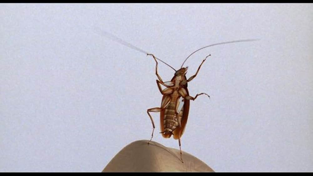 ジョーズ・アパートメントの画像