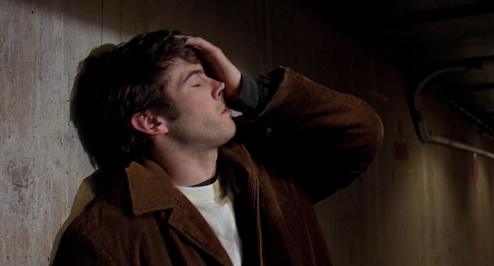 モール・ラッツの画像