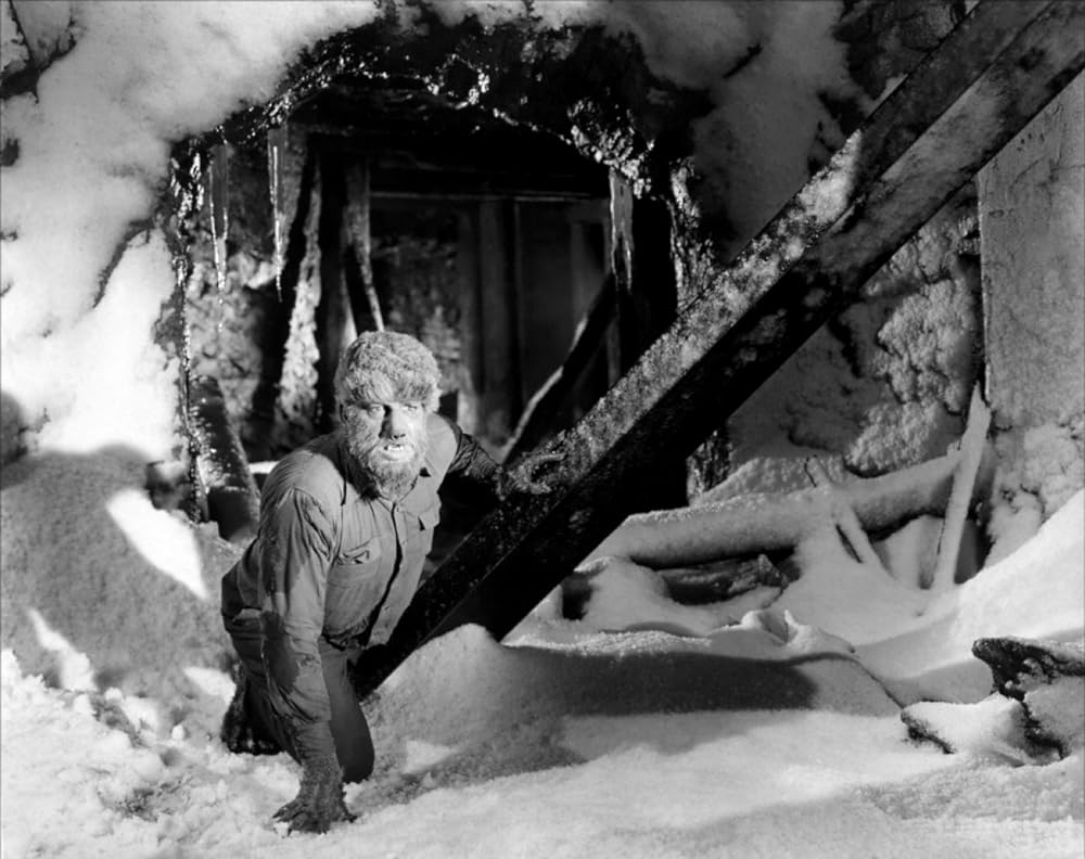 フランケンシュタインと狼男の画像