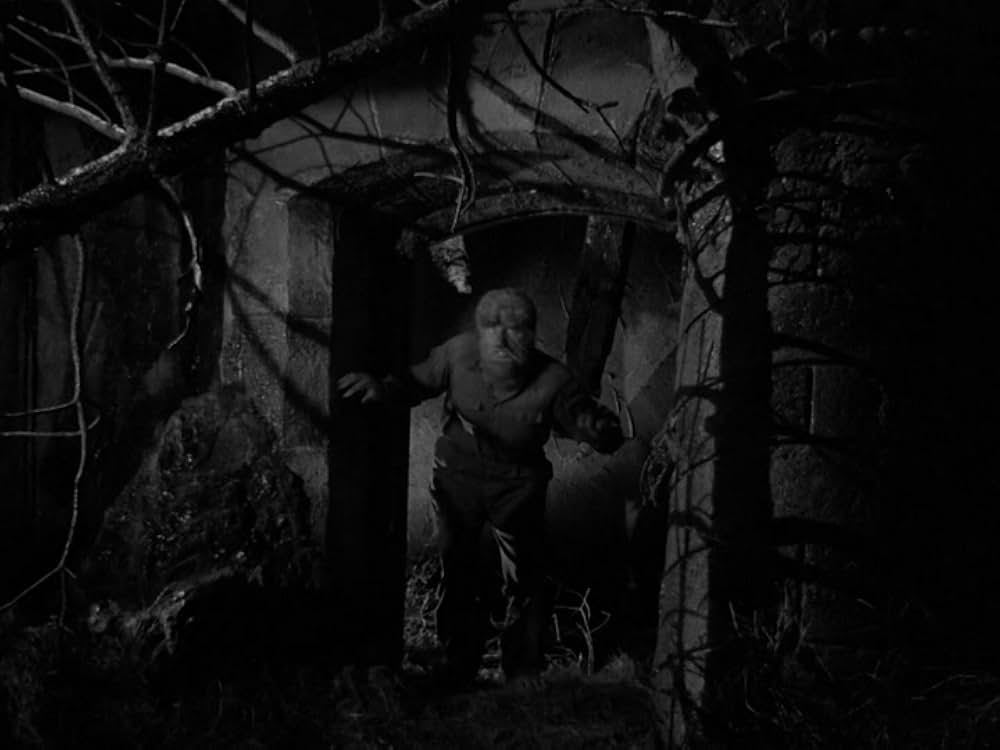 フランケンシュタインと狼男の画像