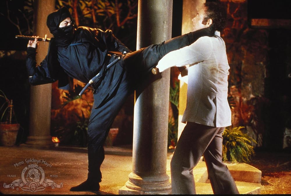 「燃えよNINJA」Alex Courtney & ショー・コスギの画像