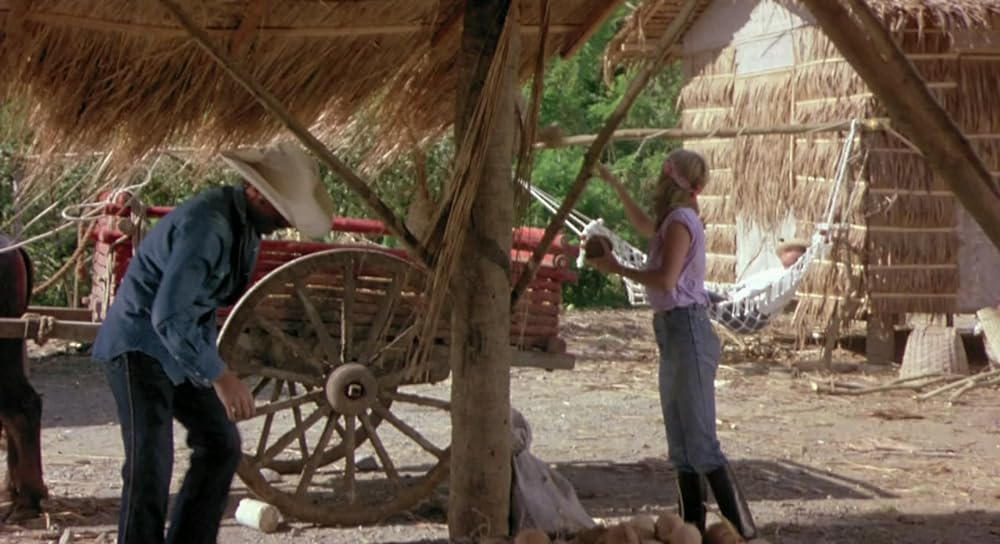 「燃えよNINJA」スーザン・ジョージ & フランコ・ネロの画像