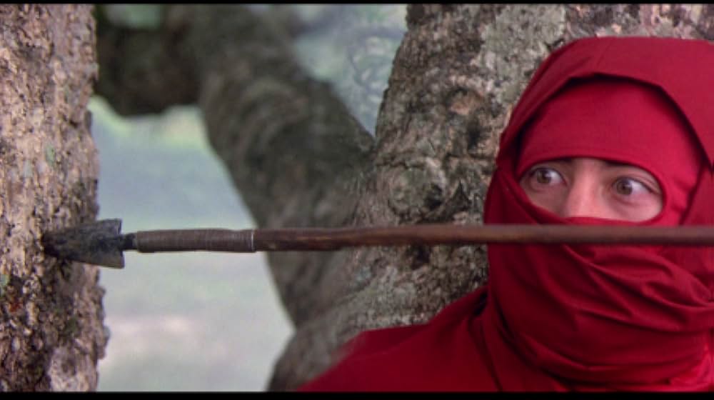 燃えよNINJAの画像