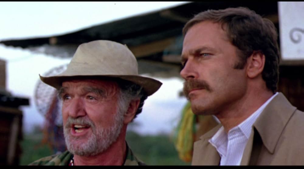 燃えよNINJAの画像