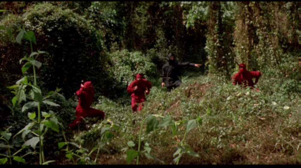 燃えよNINJAの画像