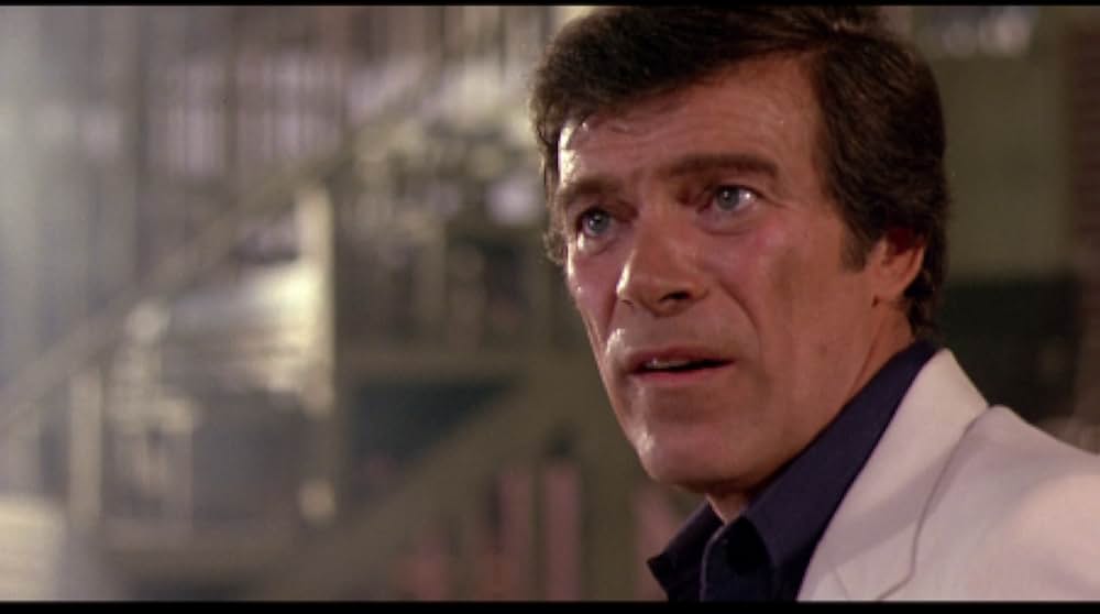 燃えよNINJAの画像