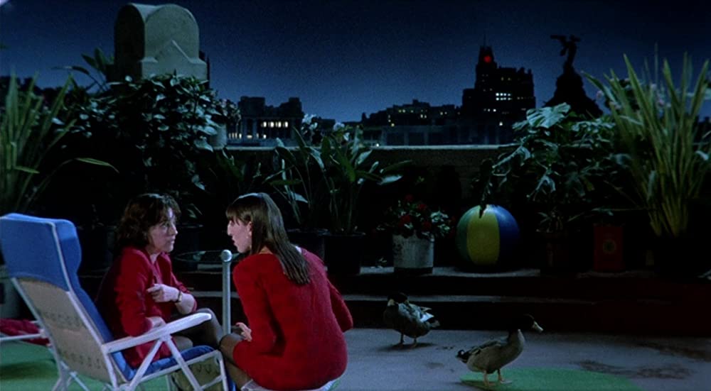 神経衰弱ぎりぎりの女たちの画像