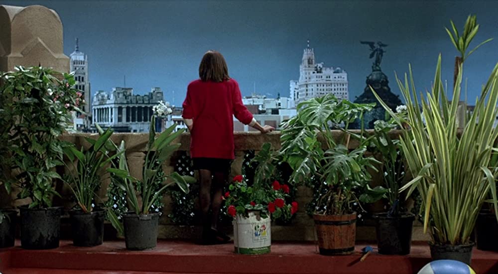 神経衰弱ぎりぎりの女たちの画像