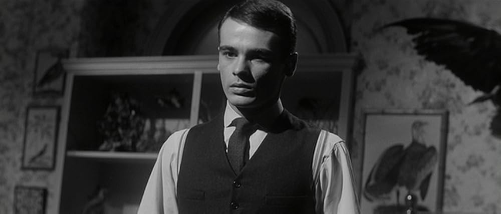 「強迫／ロープ殺人事件」ディーン・ストックウェルの画像