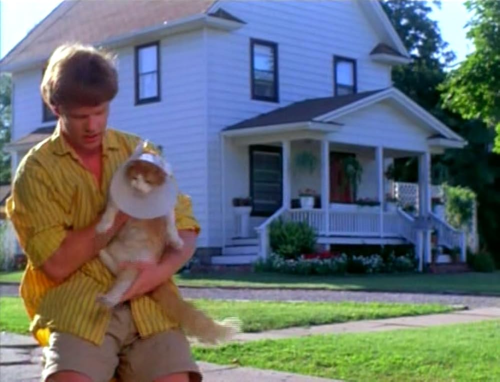 ダイナマイト・ヴァージン／キッス一発火事の元の画像