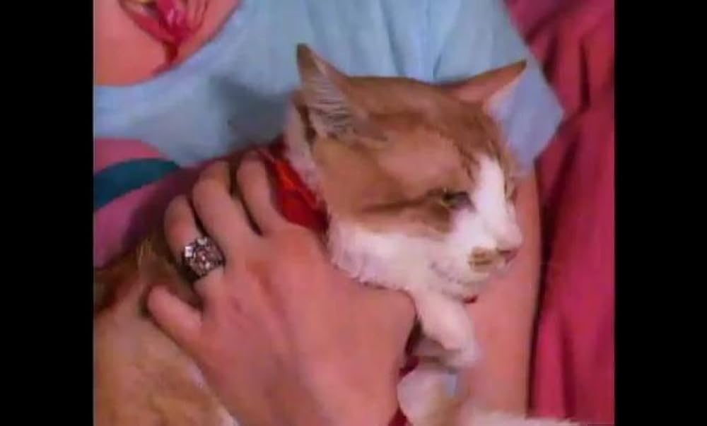 ダイナマイト・ヴァージン／キッス一発火事の元の画像