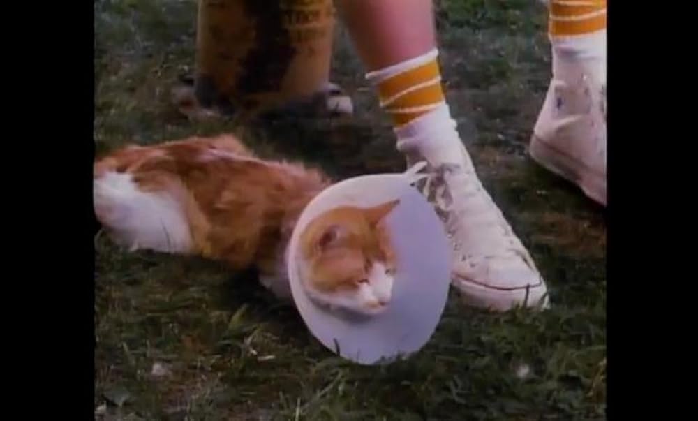 ダイナマイト・ヴァージン／キッス一発火事の元の画像