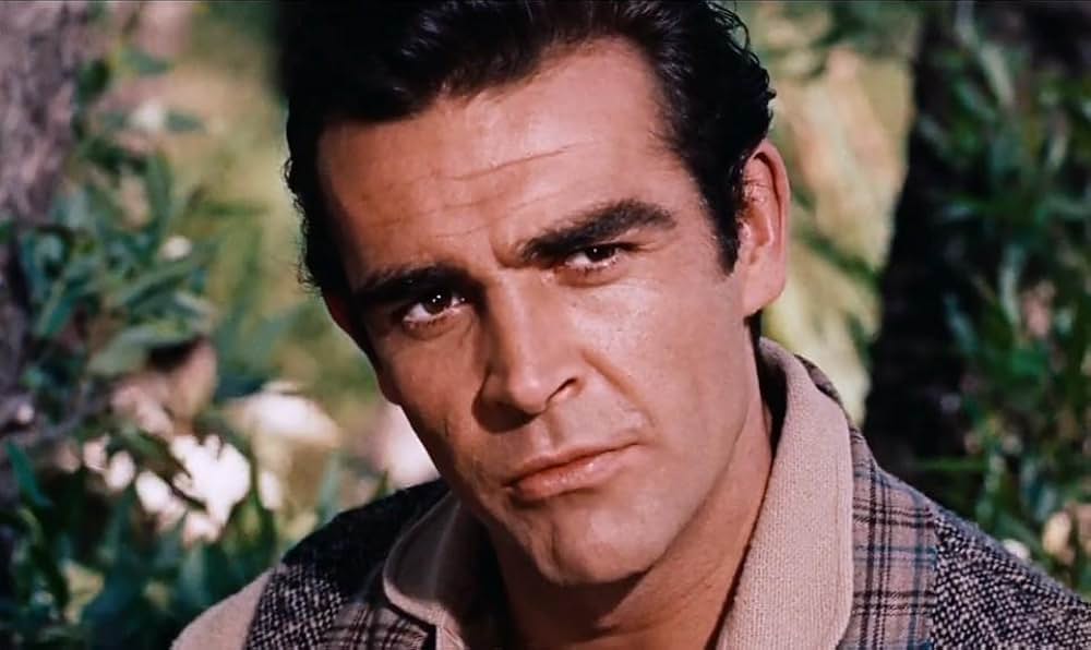 四つの願いの画像