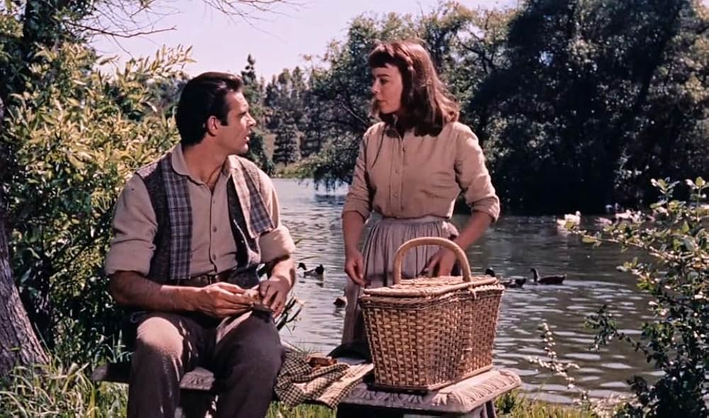 四つの願いの画像